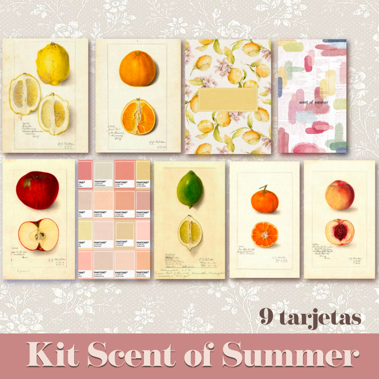 SCENT OF SUMMER · Tarjetas