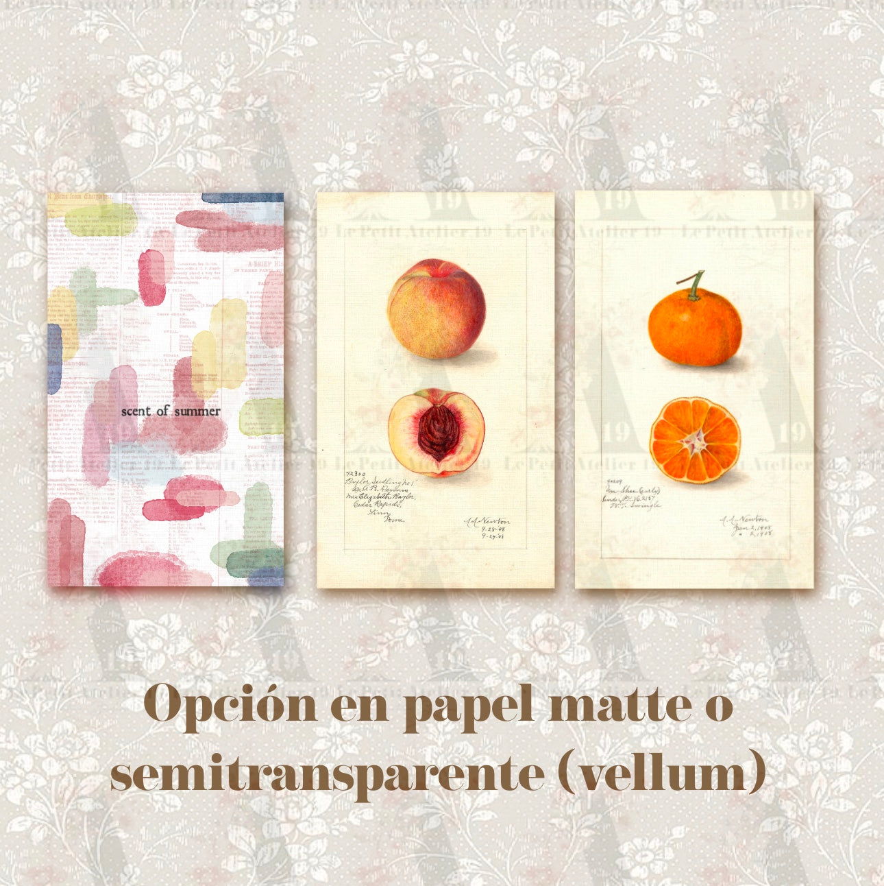 SCENT OF SUMMER · Tarjetas