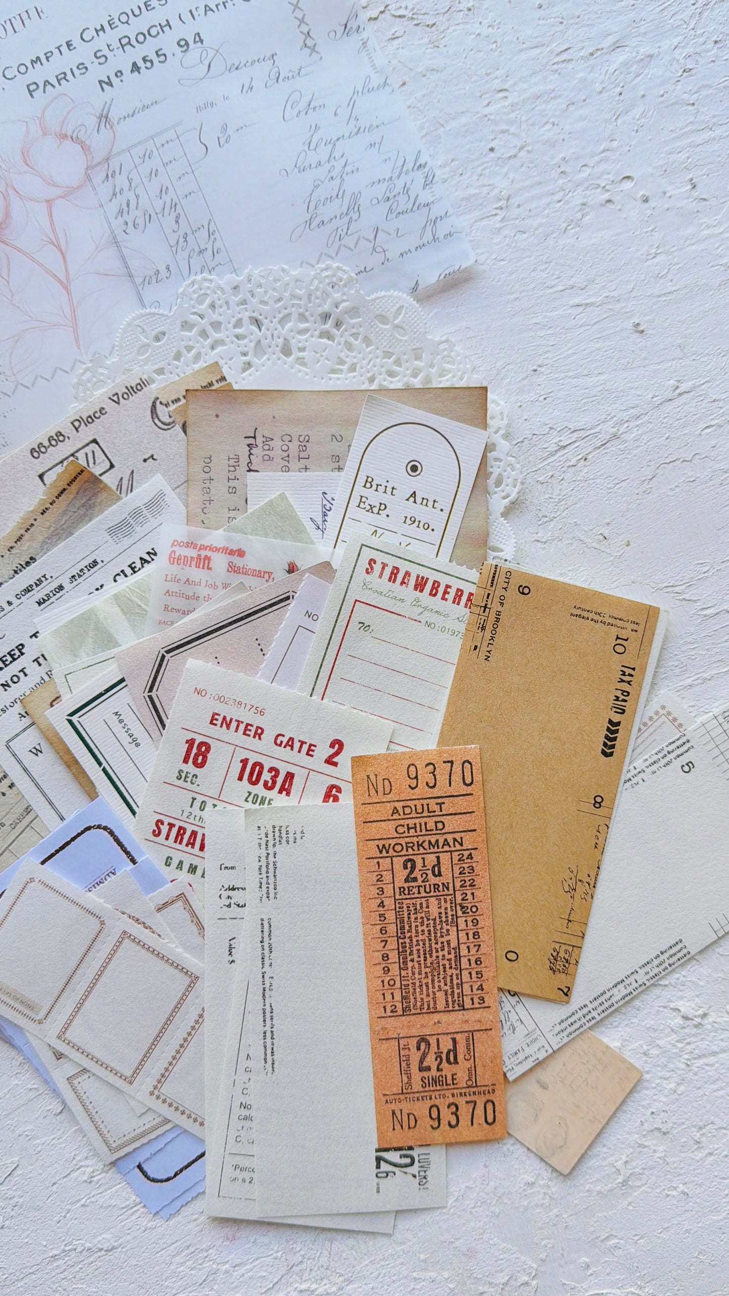 Ephemera Vellum Pouch · Colección Atelier