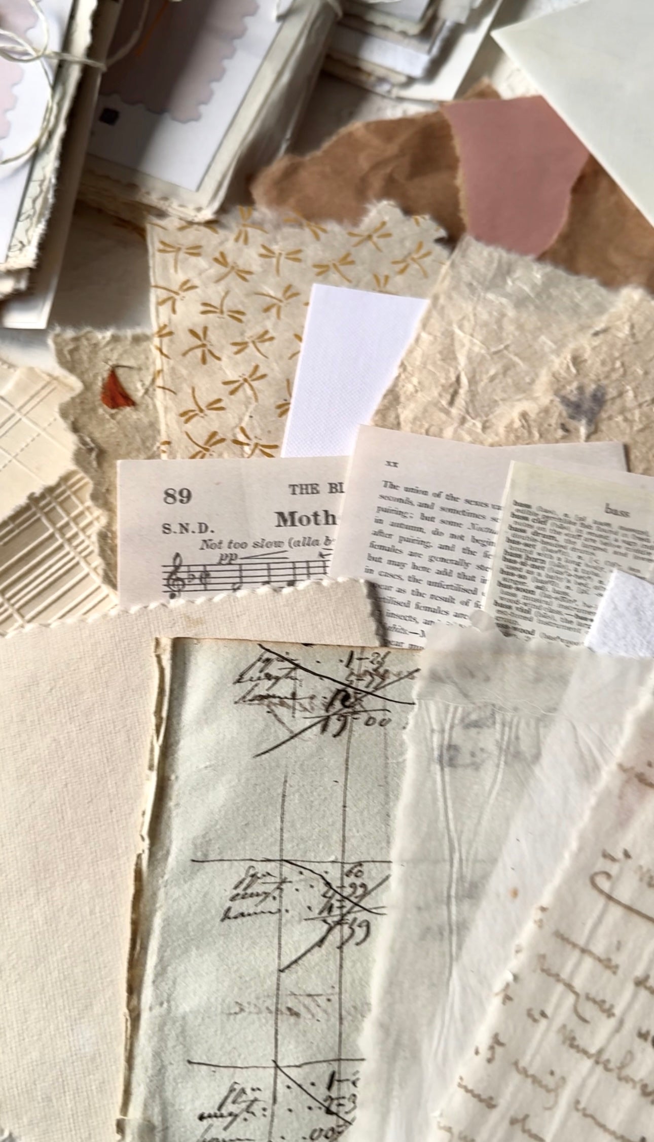 Surprise Paper Bundle · Kit Sorpresa