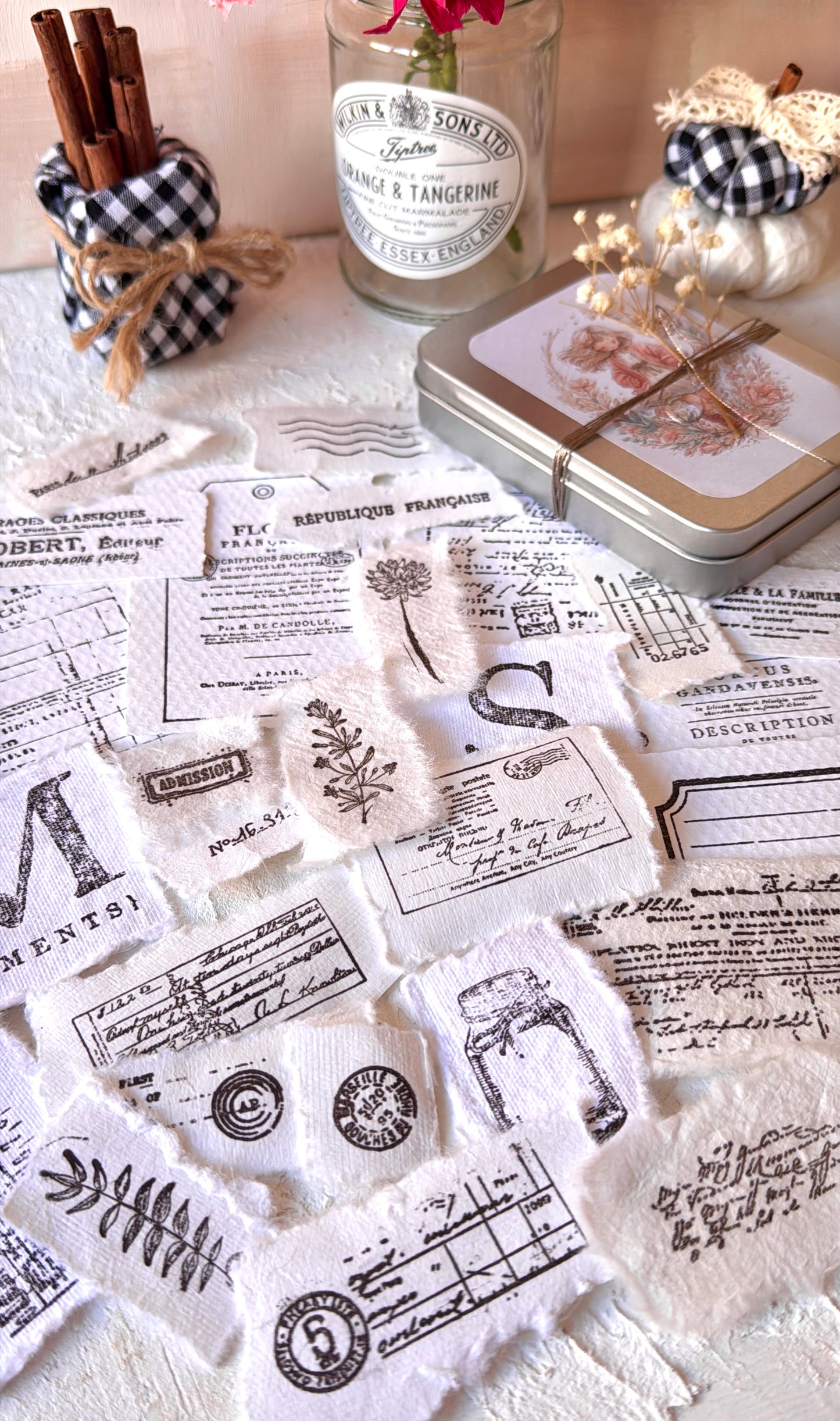 LATITAS · Little Box