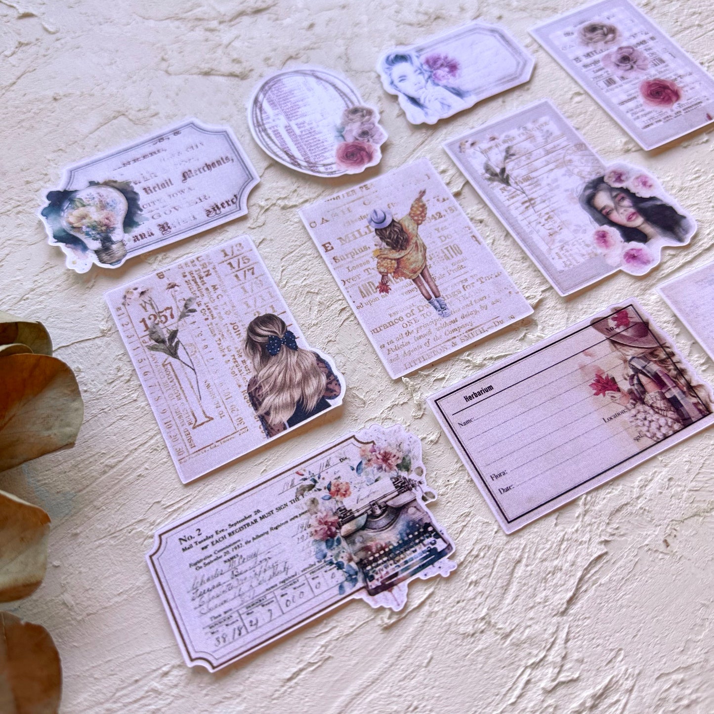 DIE CUTS Warm Autumn