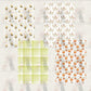 Paper collection | SUMMER BABY