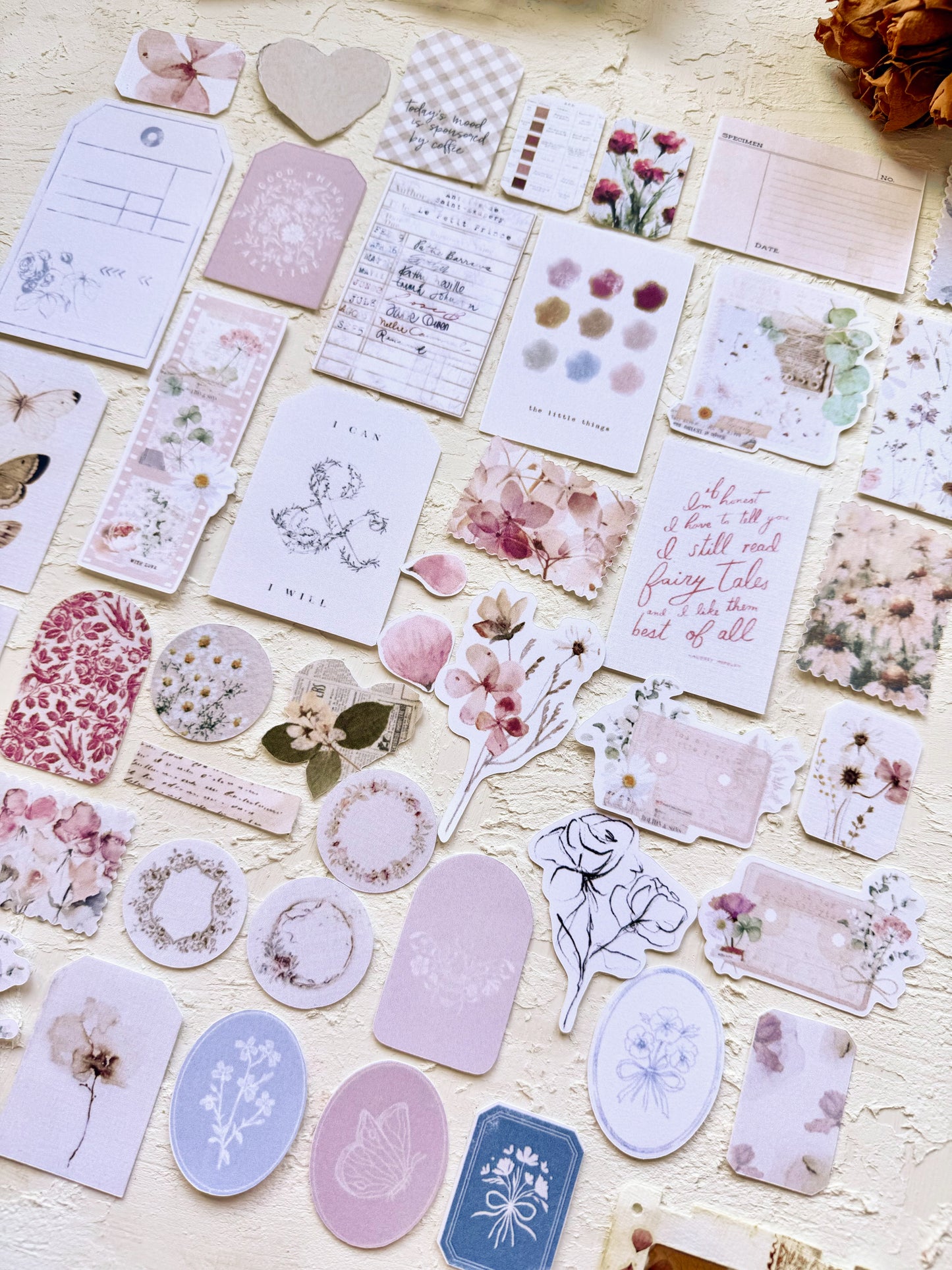 DIE CUTS Spring