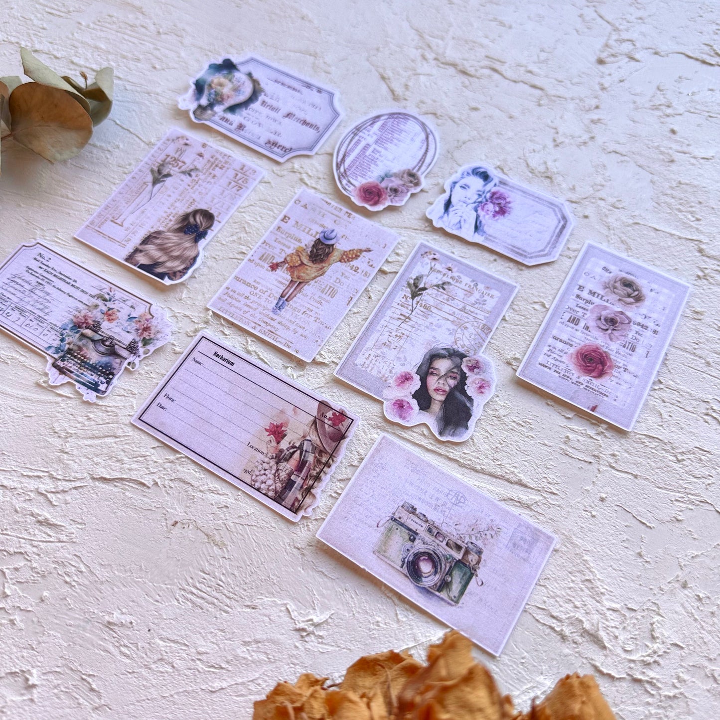 DIE CUTS Warm Autumn