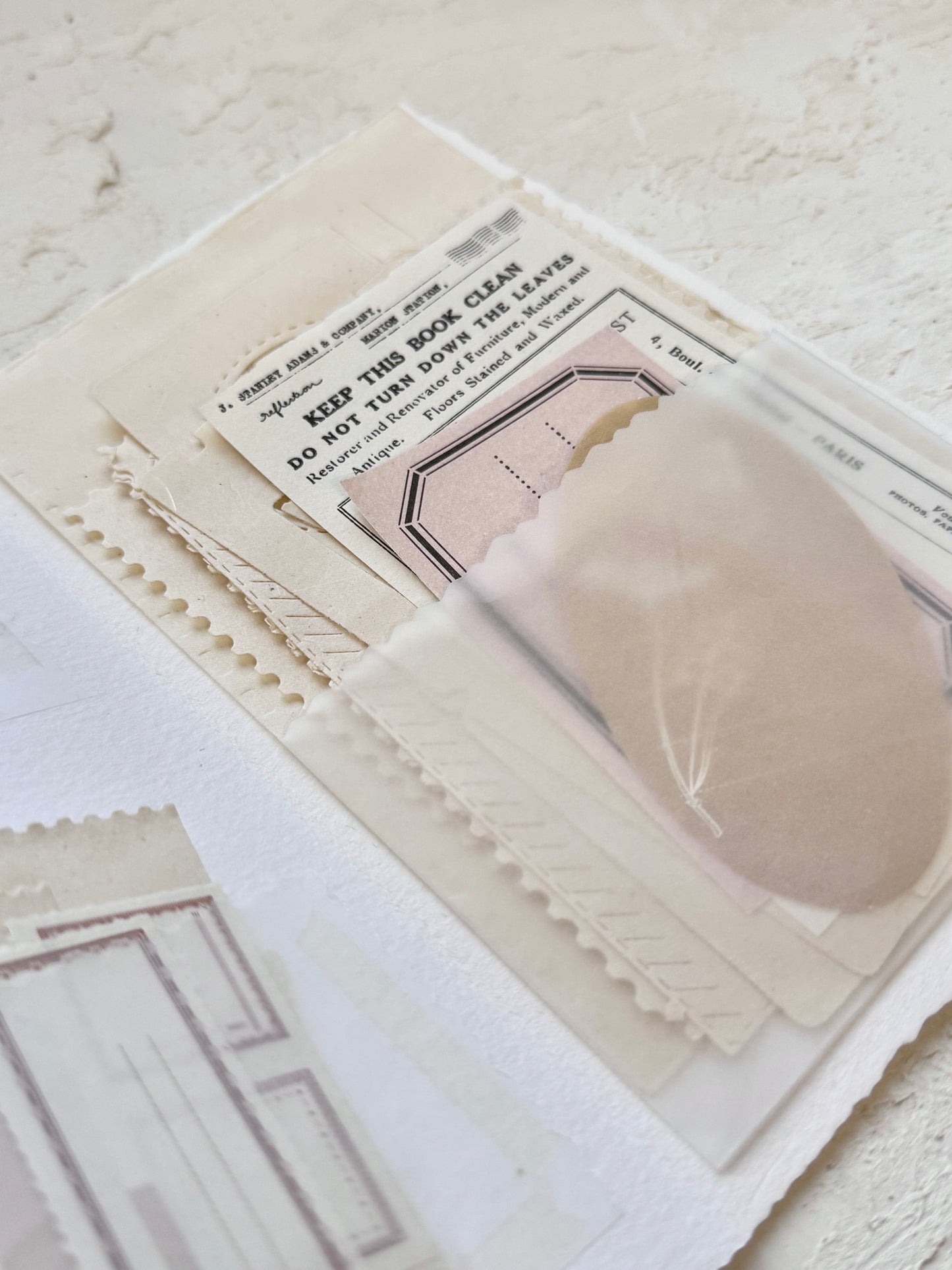 Kit Troquelados Latte · Carpeta de Ephemera