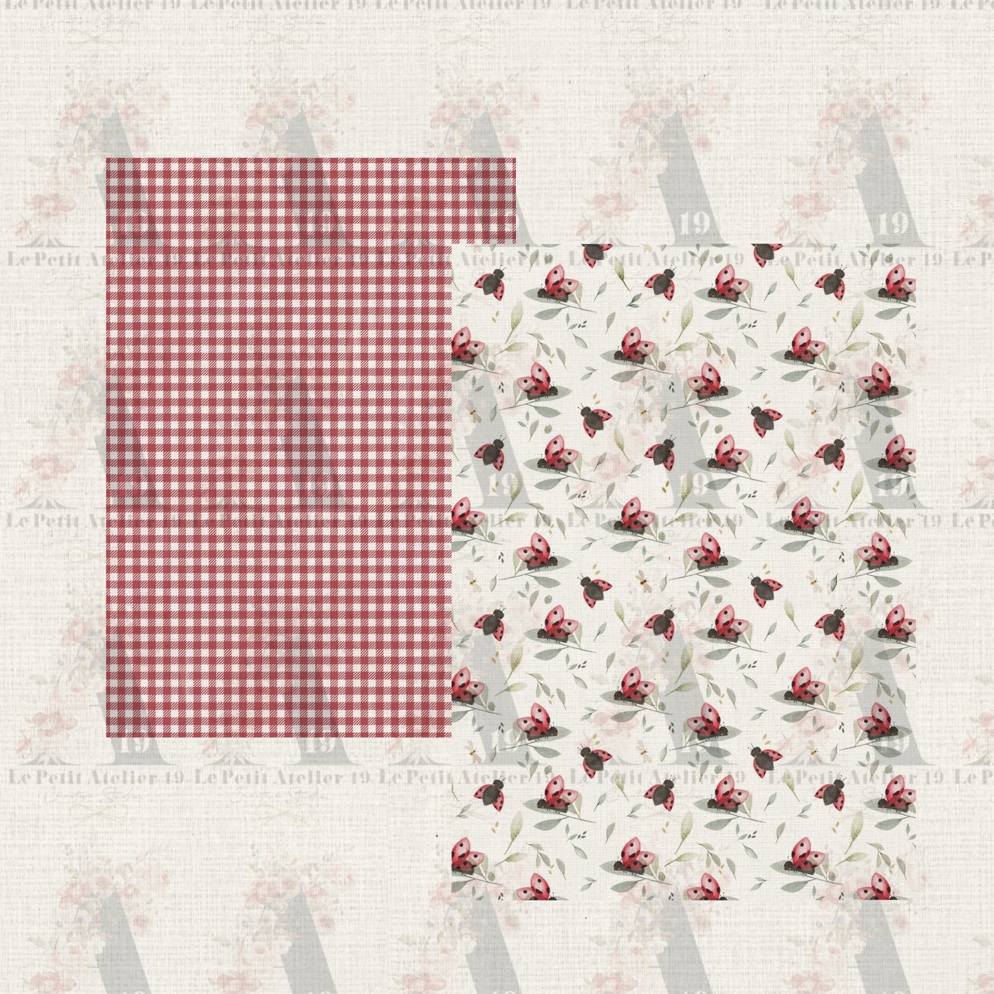 Paper collection | SUMMER BABY