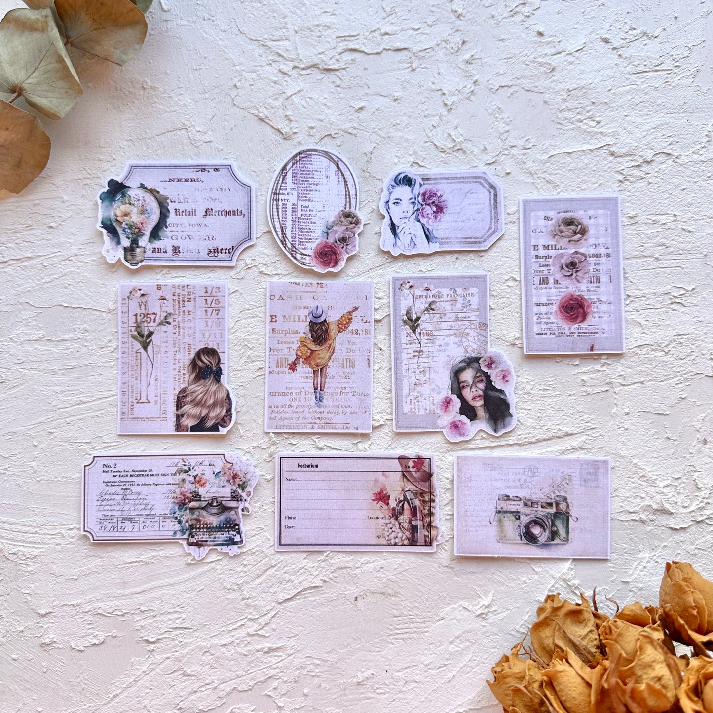 DIE CUTS Warm Autumn
