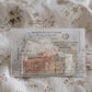 Ephemera Vellum Pouch · Colección Atelier