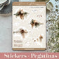 STICKERS · PINE & BOWS