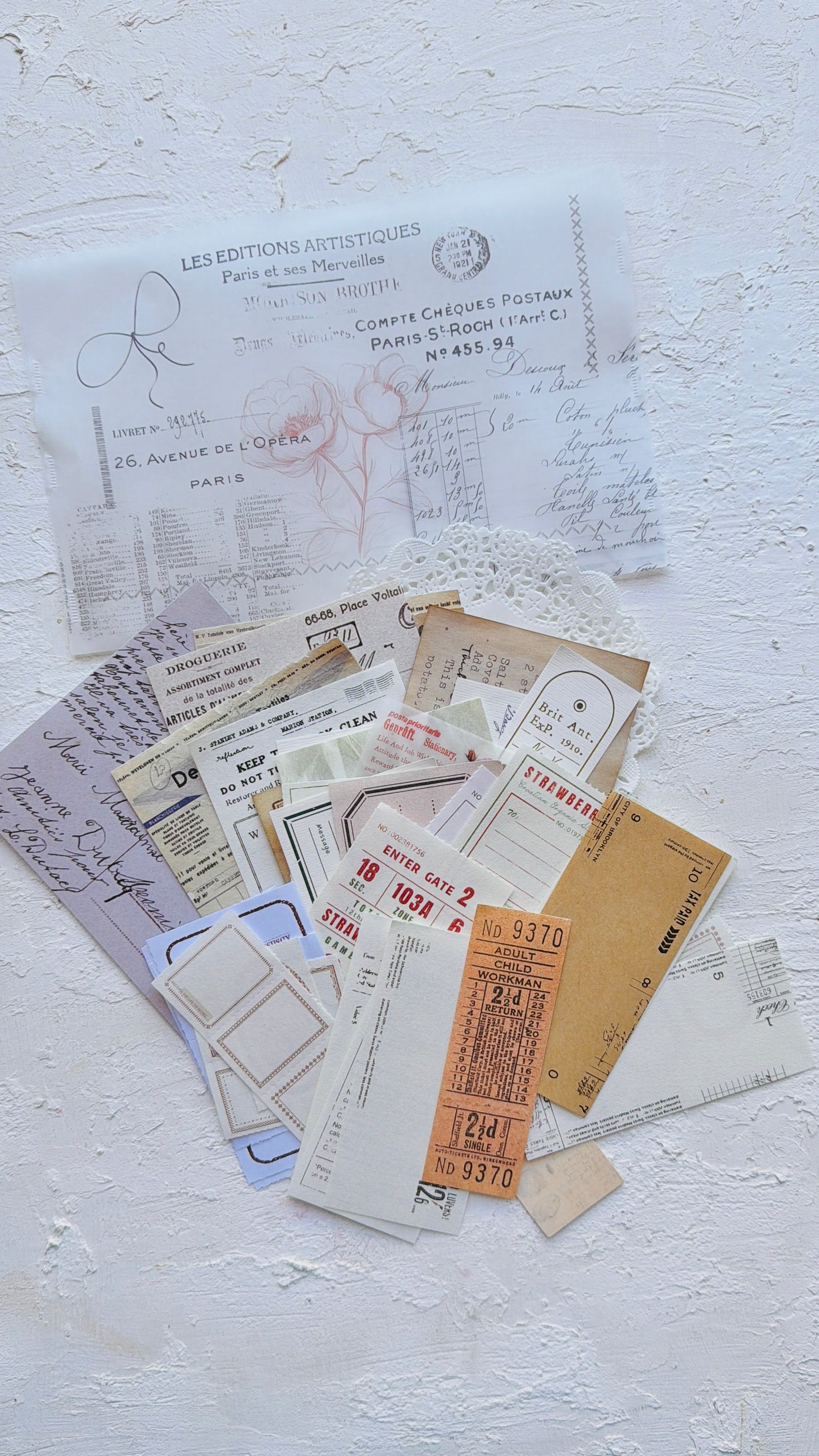 Ephemera Vellum Pouch · Colección Atelier