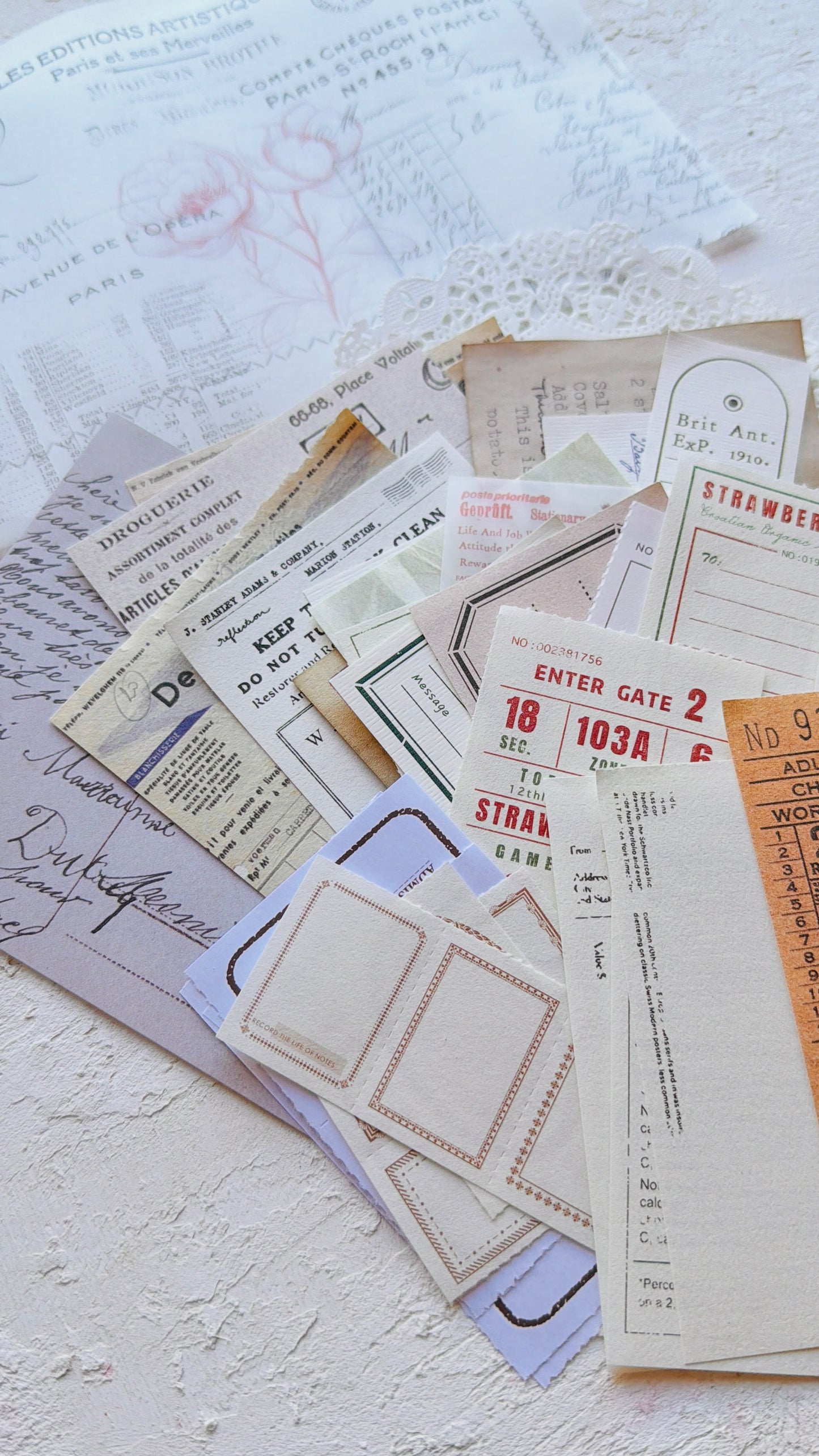 Ephemera Vellum Pouch · Colección Atelier