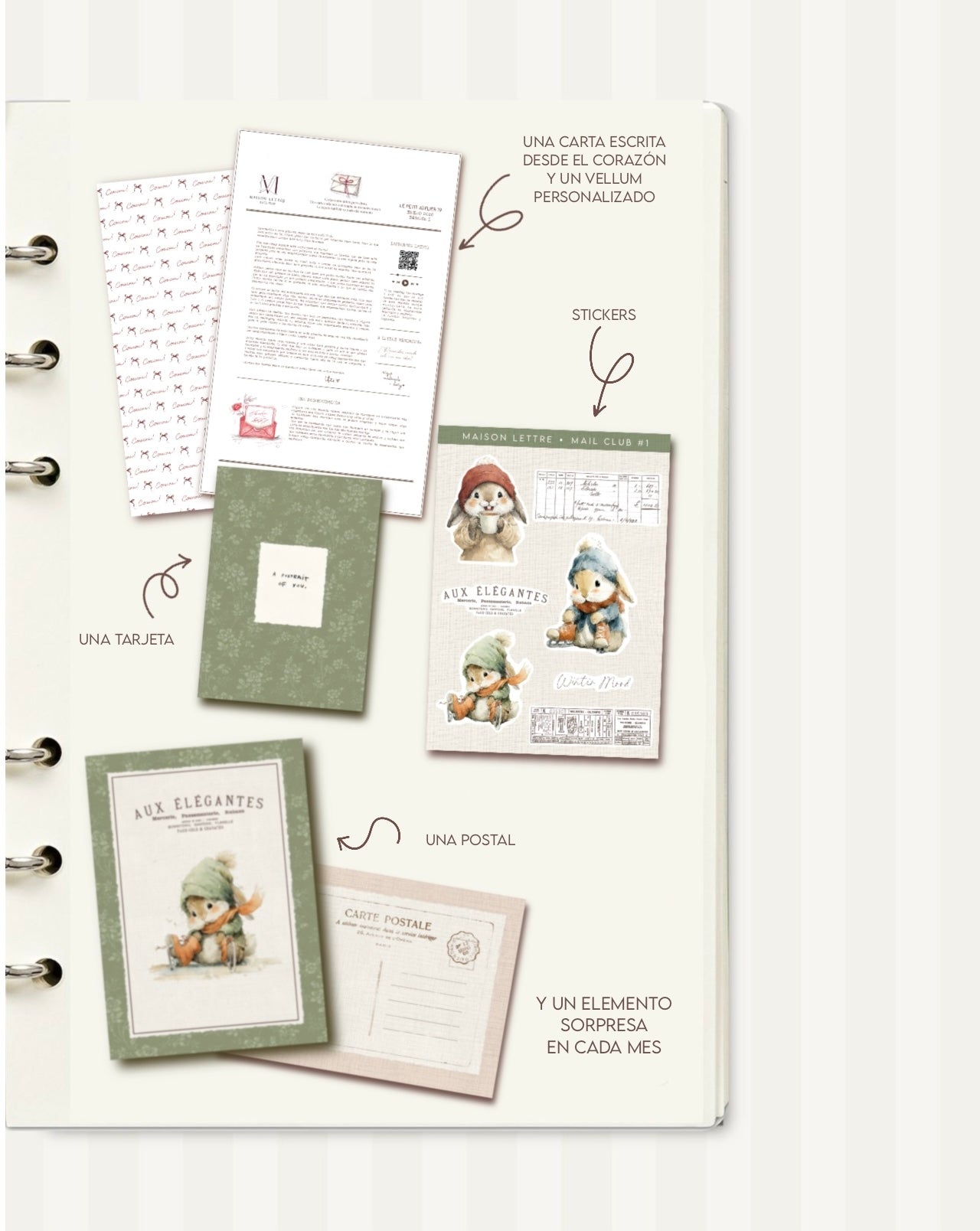 MAIL CLUB · Maison Lettre (Envios en España)