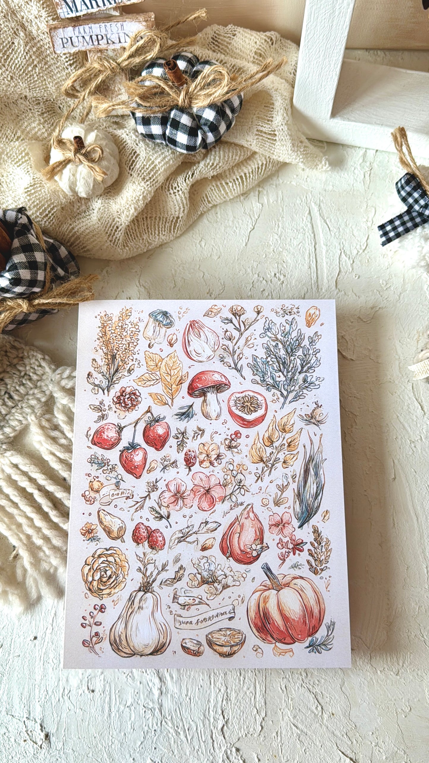 LIBRETAS · Colección Otoño