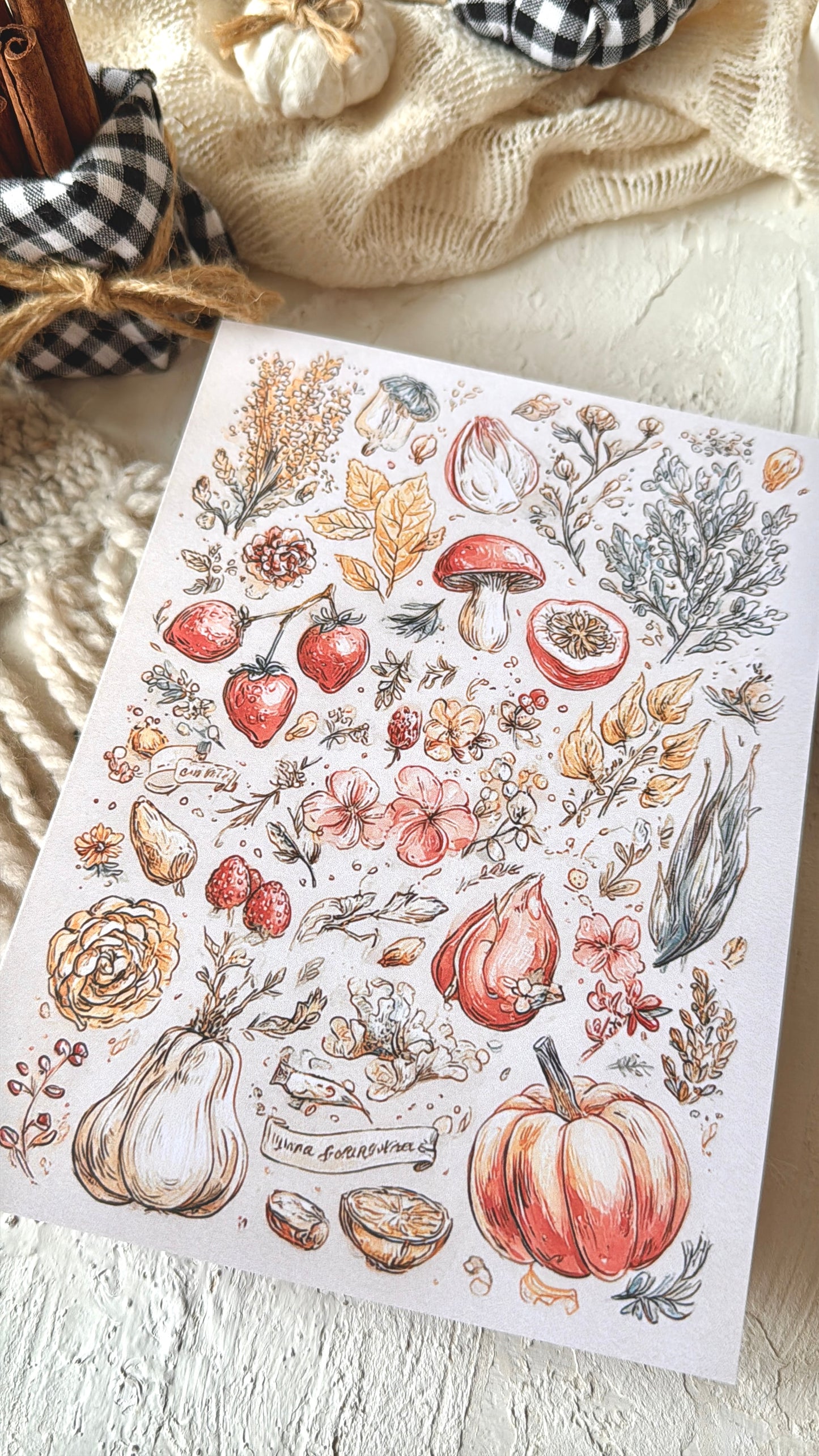 LIBRETAS · Colección Otoño