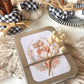 LATITAS · Little Box