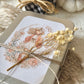 LATITAS · Little Box