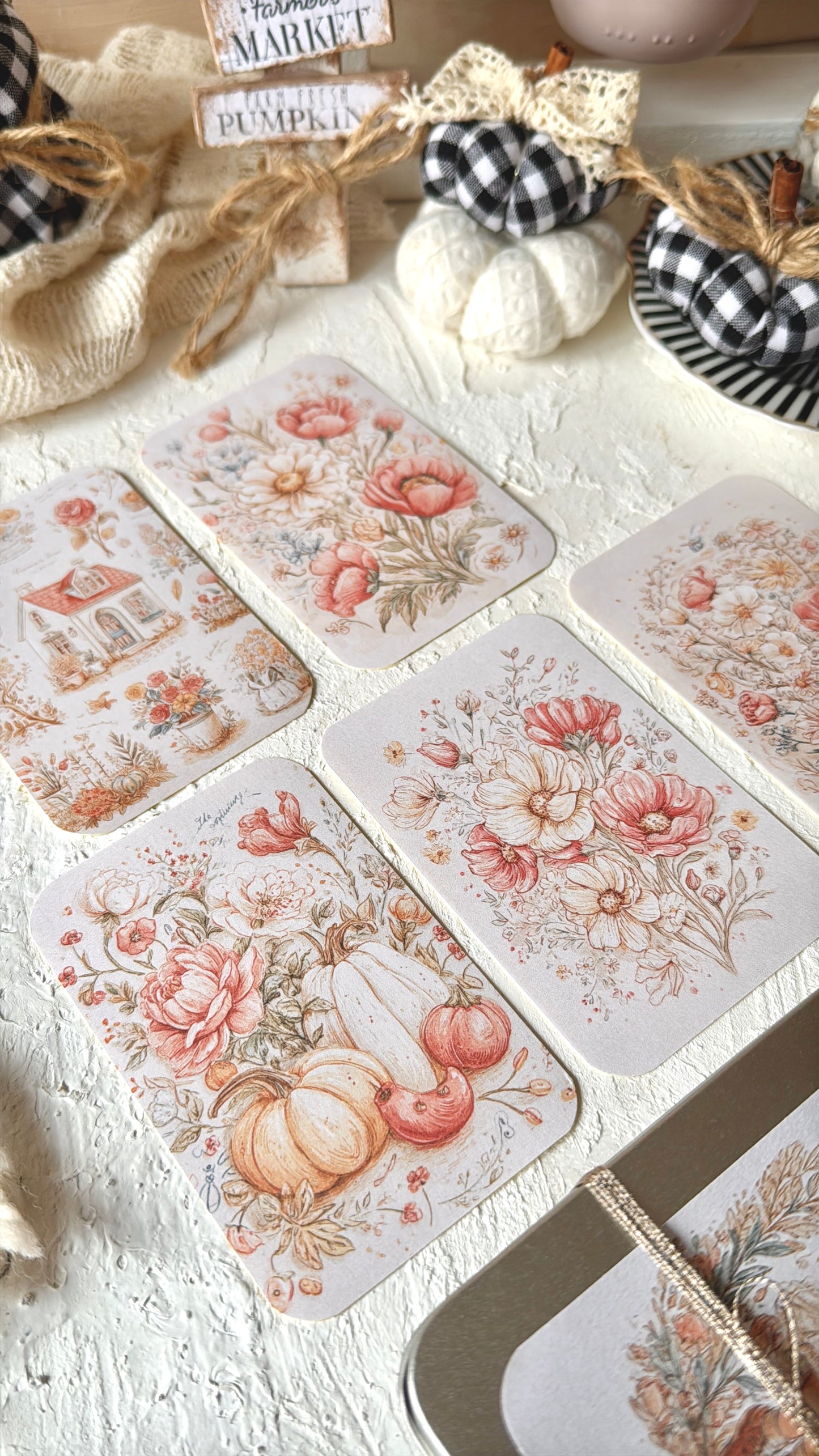 LATITAS · Little Box