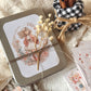 LATITAS · Little Box