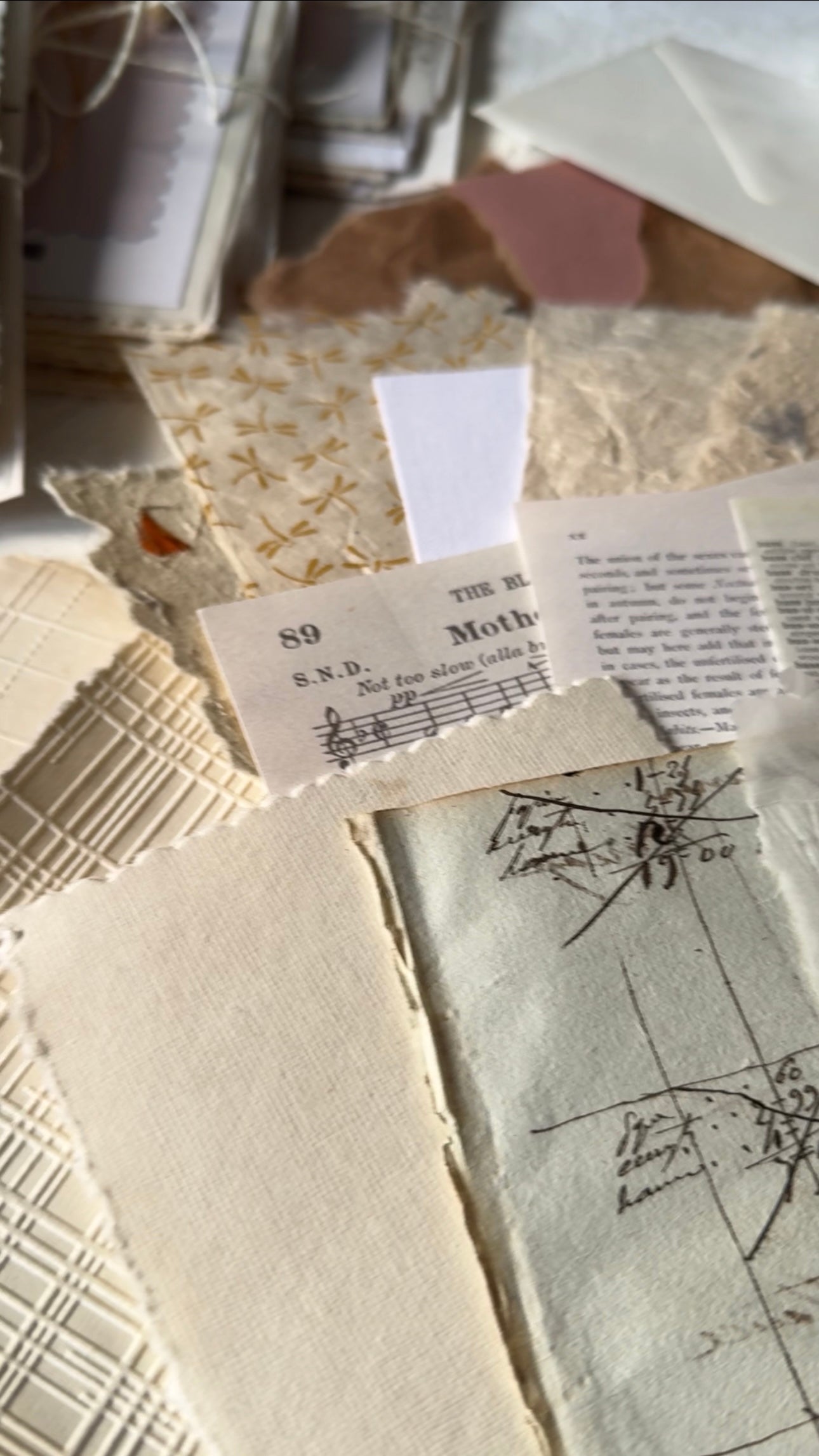 Surprise Paper Bundle · Kit Sorpresa