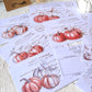 TARJETAS PUMPKIN SPICE