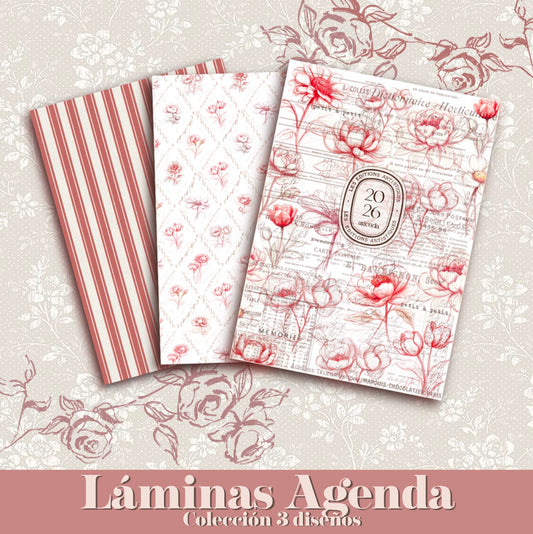 3 LAMINAS para CREAR tu propia AGENDA