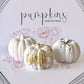 Pumpkins · Calabazas · Figuras de Resina Ecológica para Personalizar