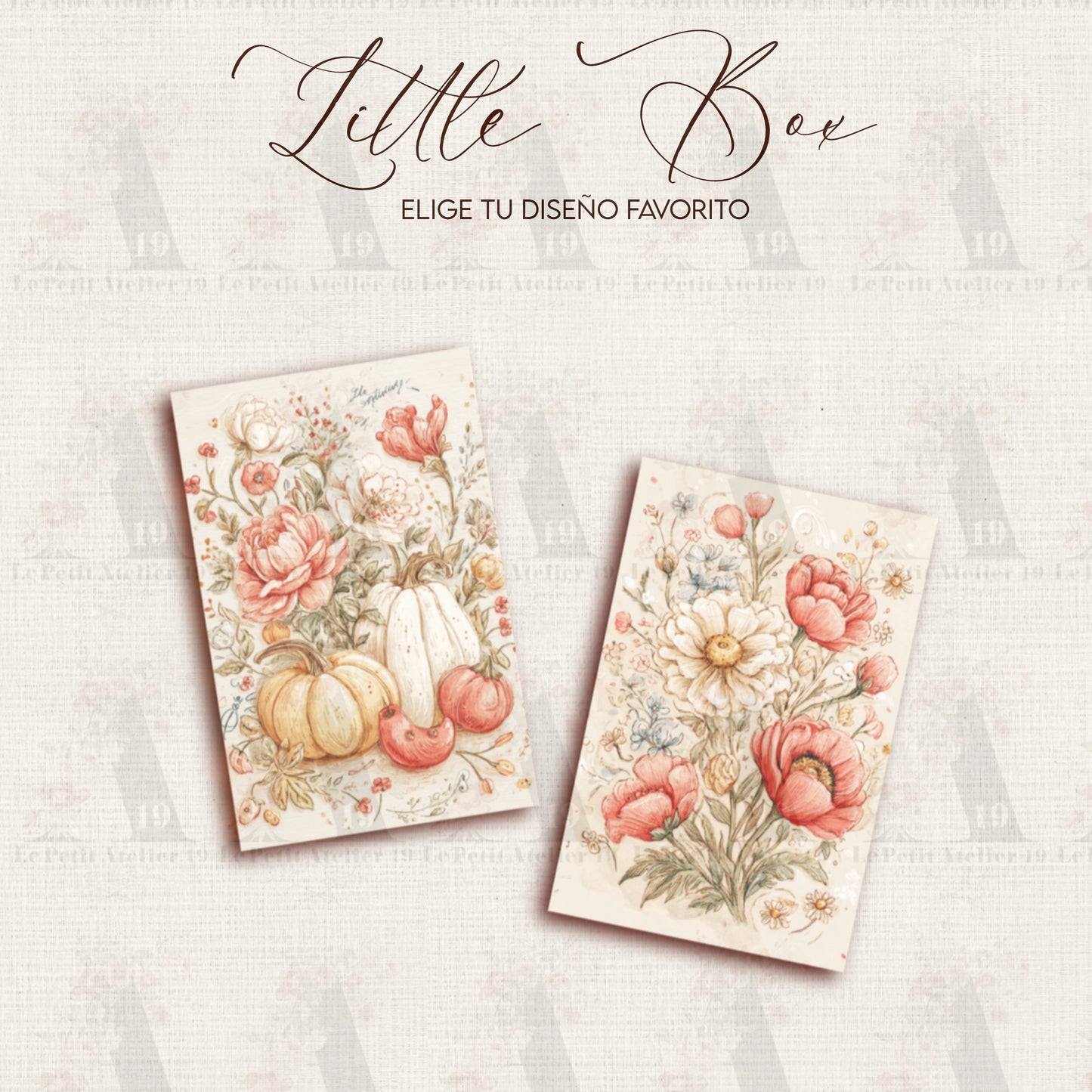 LATITAS · Little Box