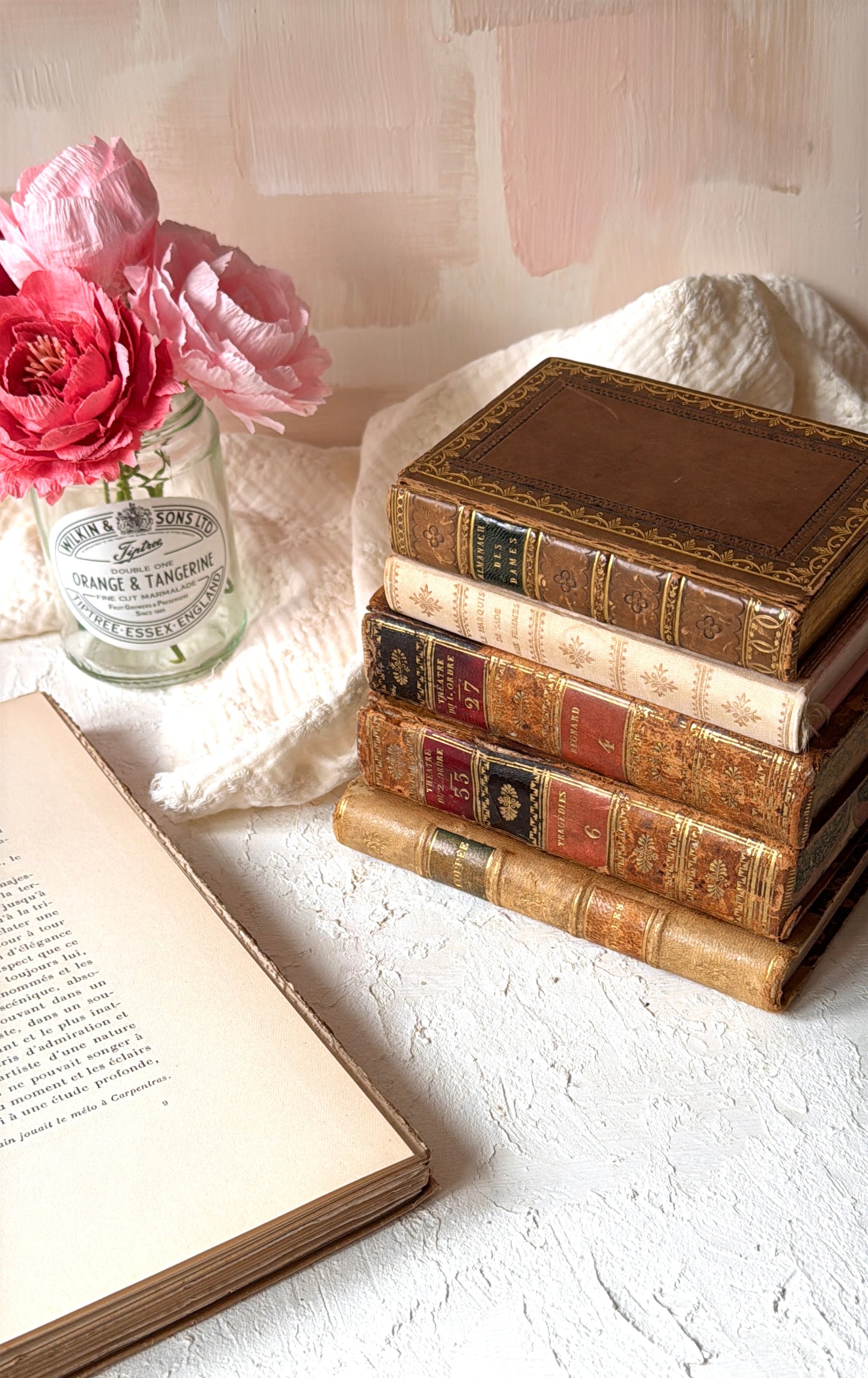 Kit de Papeles de Libros Antiguos Auténticos (Años 1800-1900 desde Francia)