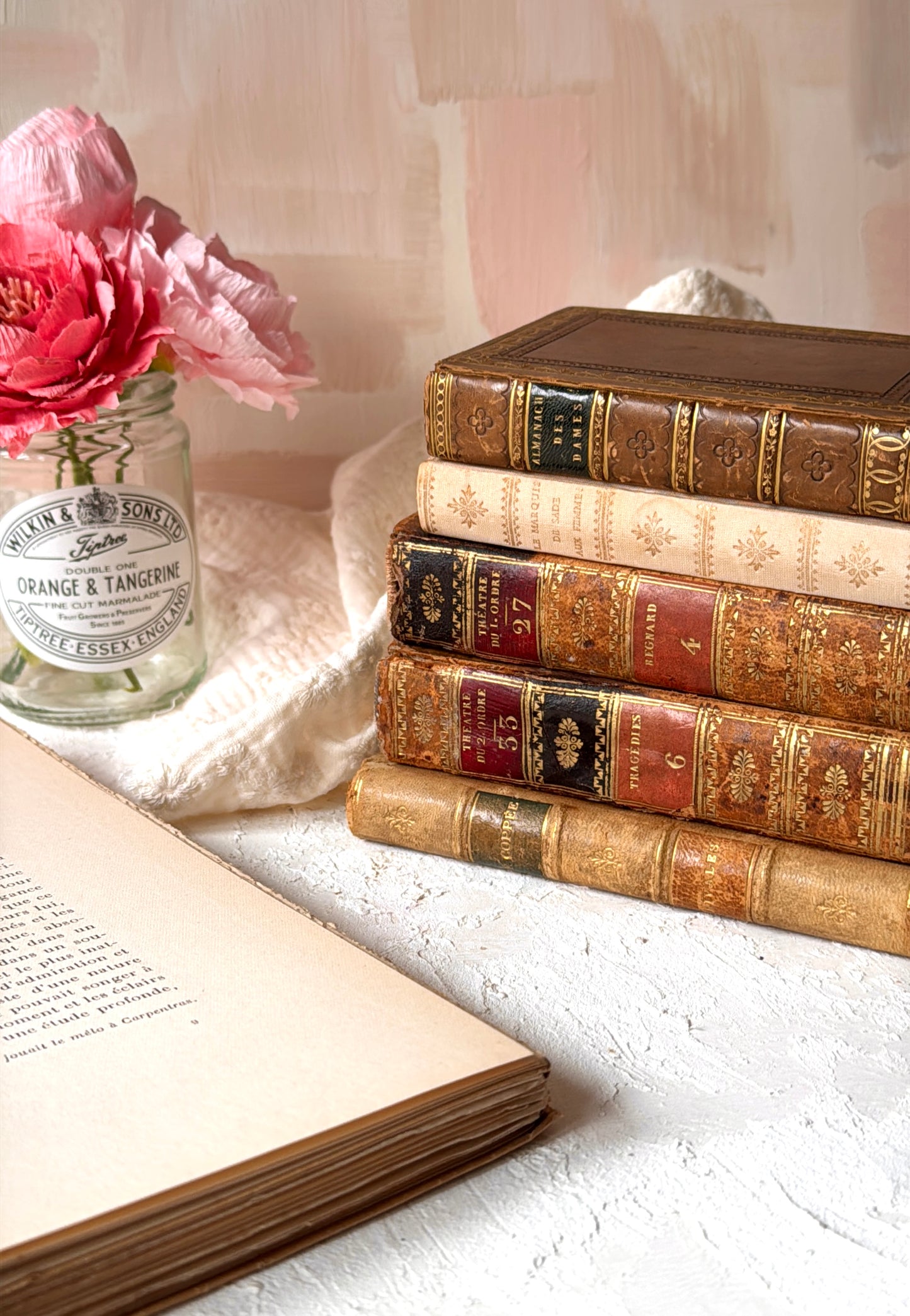 Kit de Papeles de Libros Antiguos Auténticos (Años 1800-1900 desde Francia)