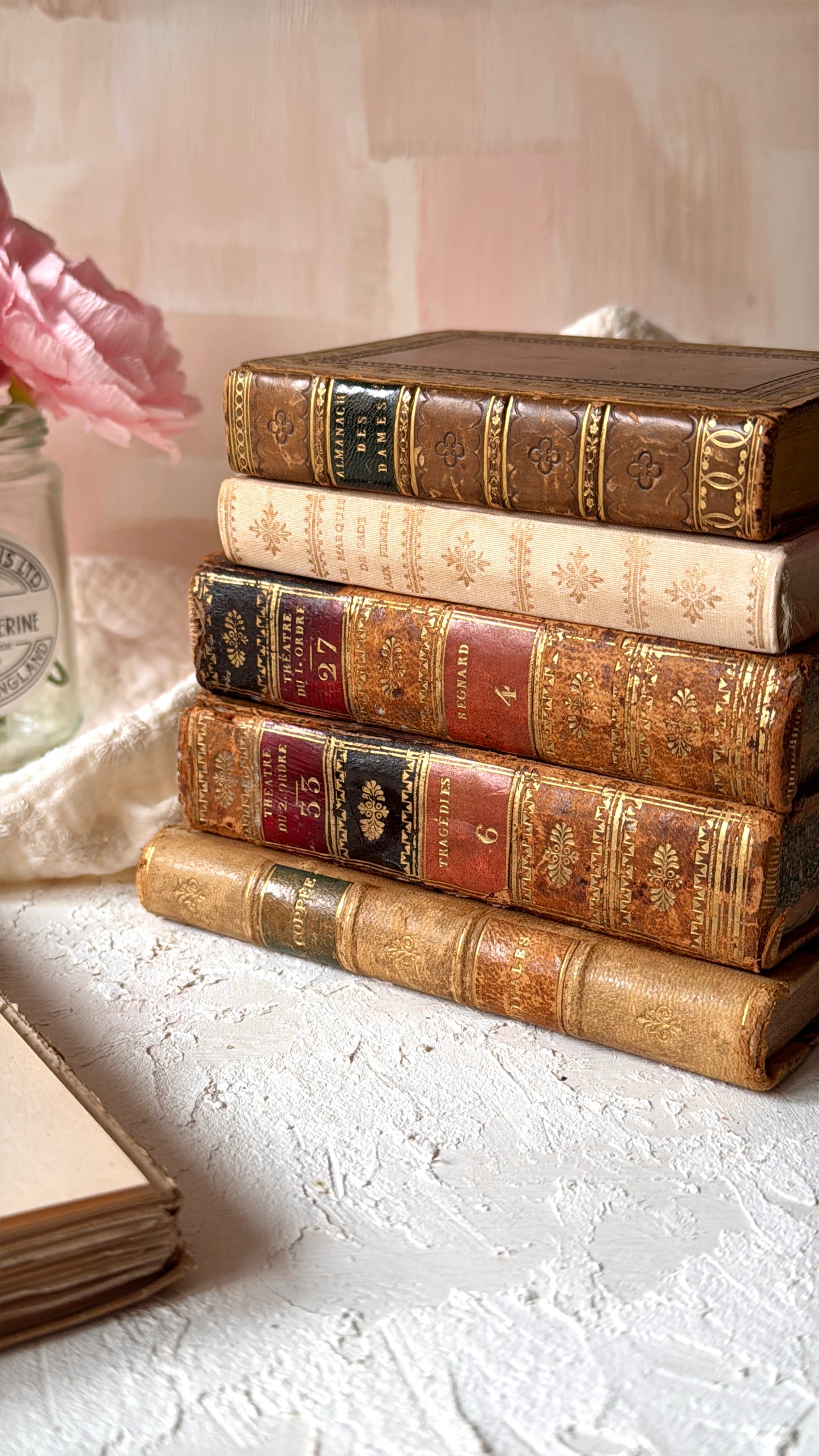 Kit de Papeles de Libros Antiguos Auténticos (Años 1800-1900 desde Francia)