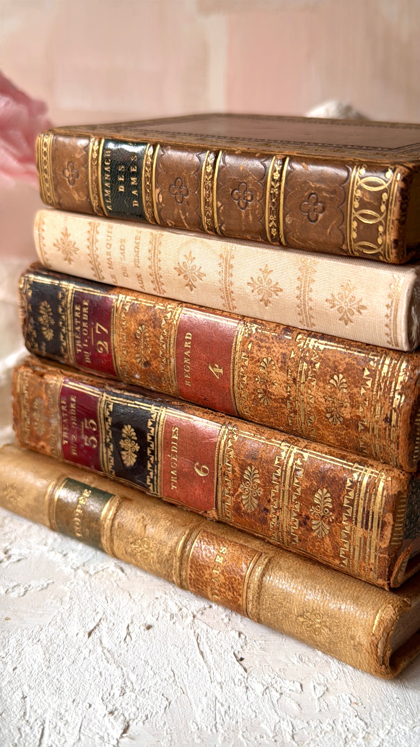Kit de Papeles de Libros Antiguos Auténticos (Años 1800-1900 desde Francia)