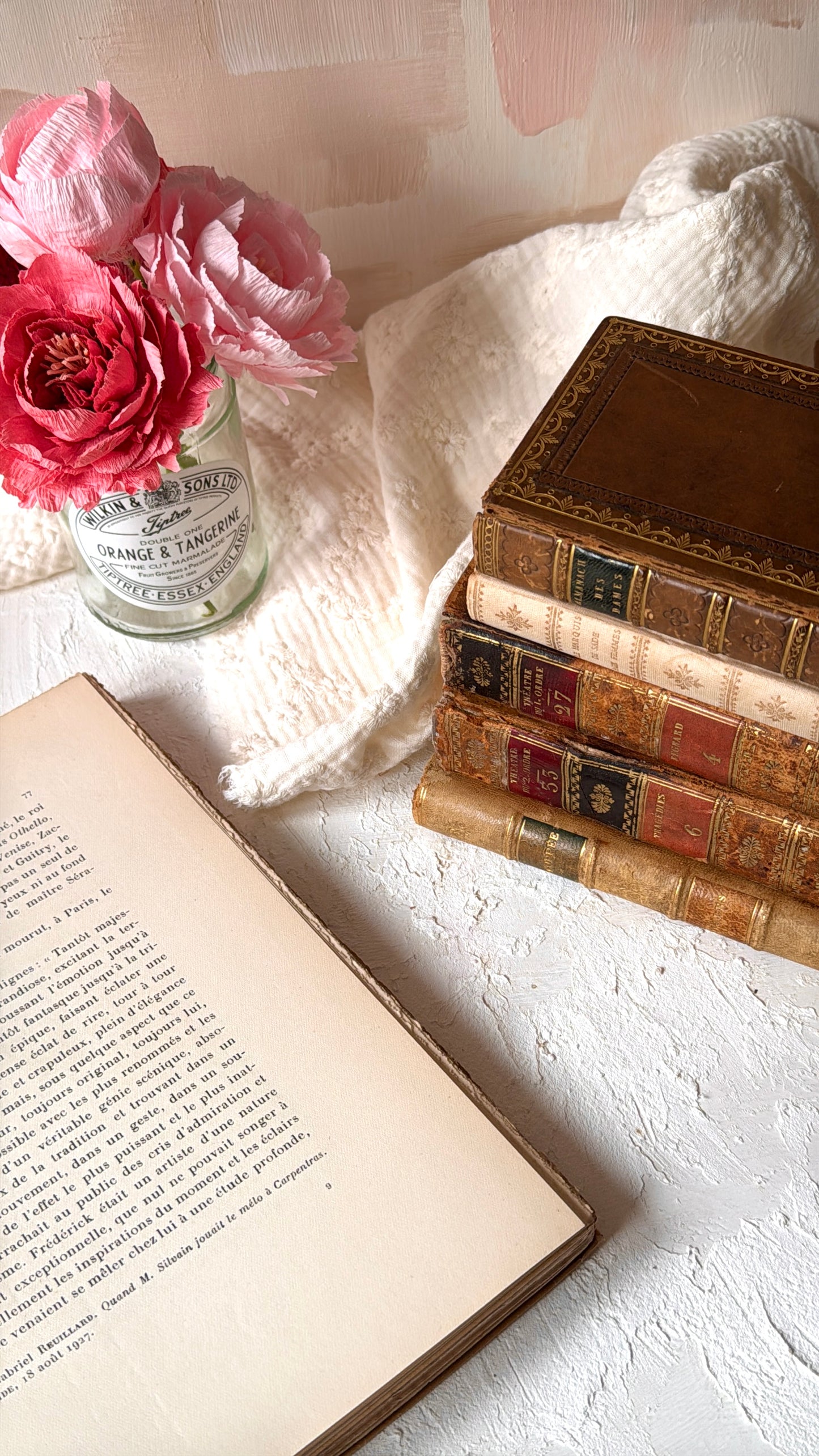Kit de Papeles de Libros Antiguos Auténticos (Años 1800-1900 desde Francia)