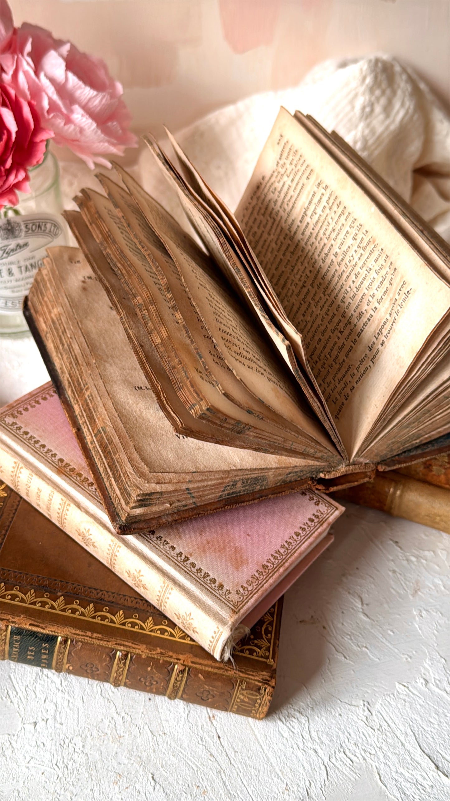 Kit de Papeles de Libros Antiguos Auténticos (Años 1800-1900 desde Francia)