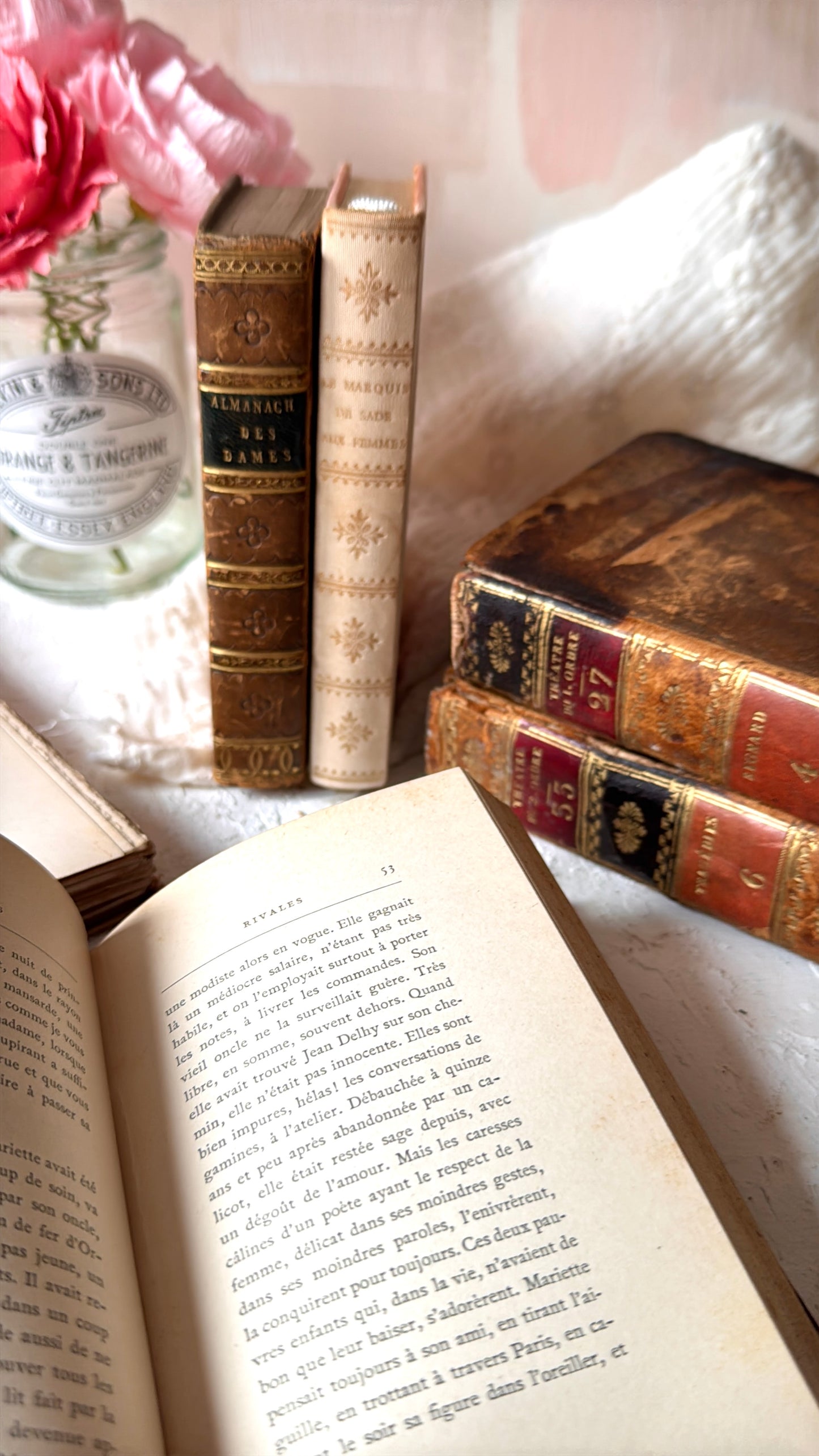 Kit de Papeles de Libros Antiguos Auténticos (Años 1800-1900 desde Francia)