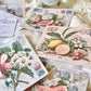 Kit Handmade · Vintage Summertime