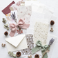 Kit Noa · Exclusivo · Paper Lover Edition
