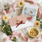Kit Dear Summer