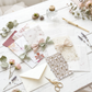 Kit Noa · Exclusivo · Paper Lover Edition