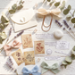 Kit Lidia · Exclusivo