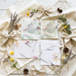 Kit Cotton Paper