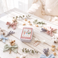 Kit Lidia · Exclusivo
